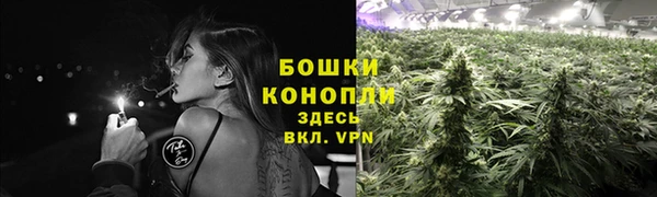 твердый Коряжма