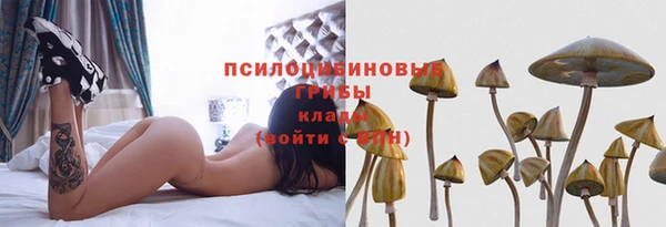 твердый Коряжма