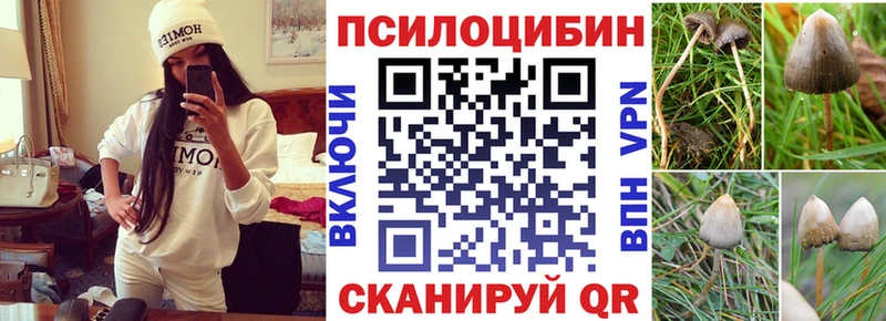 Галлюциногенные грибы прущие грибы  Озёрск 